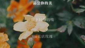 告白气球翻唱女主播,用歌声传递爱的力量